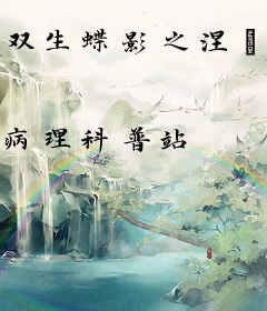 双生蝶影之涅槃重生
