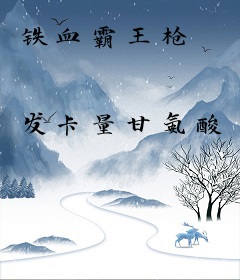 铁血霸王枪