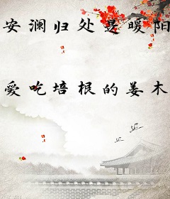 安澜归处是暖阳