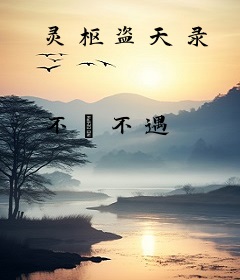 灵枢盗天录