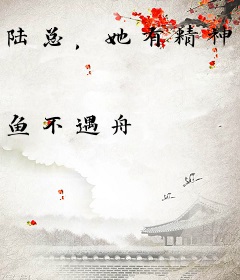 陆总，她有精神病