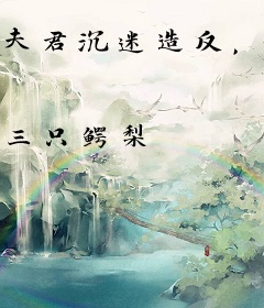 夫君沉迷造反，却有四个忠臣崽崽