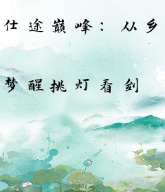 仕途巅峰：从乡镇开始