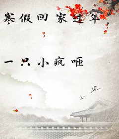 寒假回家过年，高铁偶遇高冷校花