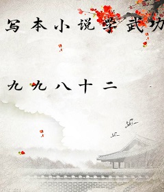 写本小说学武功