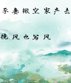 孕妻搬空家产去随军！团长日日红温