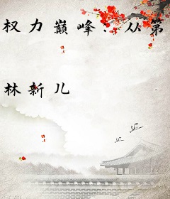 权力巅峰：从第一秘书开始