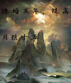 隐婚三年，提离婚后高冷机长悔断肠