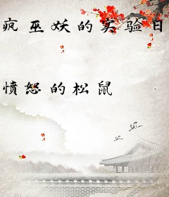 疯巫妖的实验日志