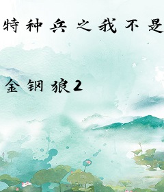 特种兵之我不是兵王