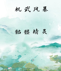机武风暴