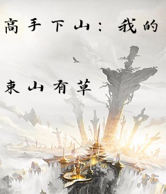 高手下山：我的绝色总裁未婚妻秦阳林霜舞