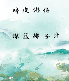 暗夜游侠