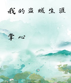 我的盗贼生涯
