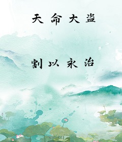 天命大盗