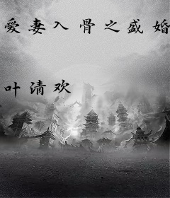 爱妻入骨之盛婚厚爱