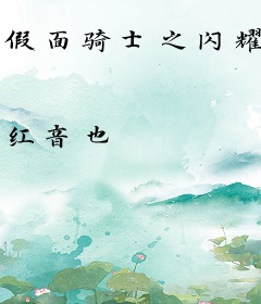 假面骑士之闪耀