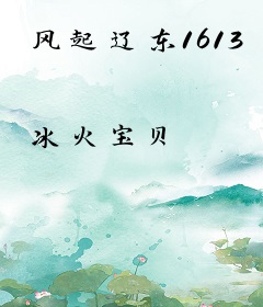 风起辽东1613