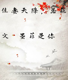 佳妻天降，总裁老公跟我走