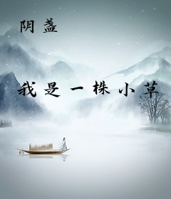 阴盏
