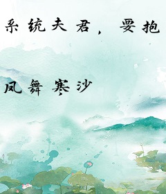 系统夫君，要抱抱！
