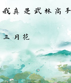 我真是武林高手