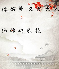 你好外交官大人