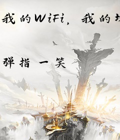 我的WiFi，我的坟