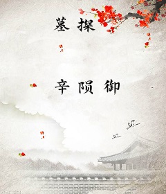 墓探