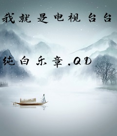 我就是电视台台长