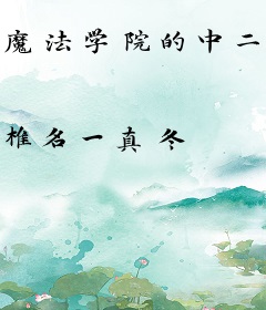 魔法学院的中二法师