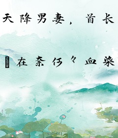 天降男妻，首长的宝贝
