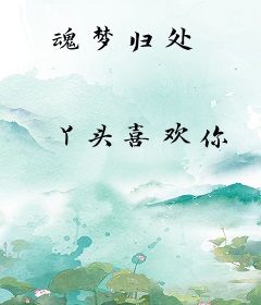 魂梦归处