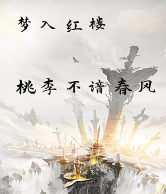 梦入红楼