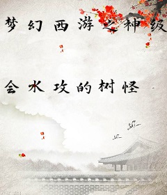 梦幻西游之神级外挂