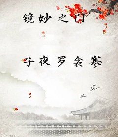 镜妙之门