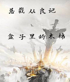 总裁从良记