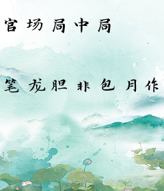 官场局中局