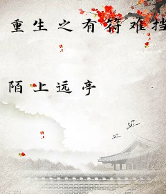 重生之有符难挡