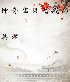 神奇宝贝之我的师傅是坂木