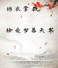 锦衣掌教