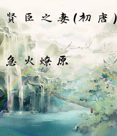 贤臣之妻（初唐）