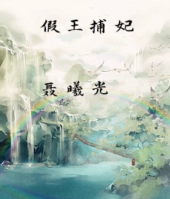 假王捕妃
