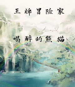 王牌冒险家