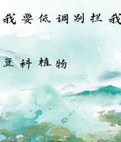 我要低调别拦我