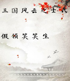 三国风云之士氏天下