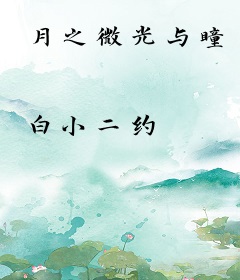 月之微光与瞳