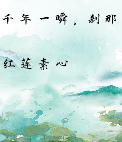 千年一瞬，刹那芳华