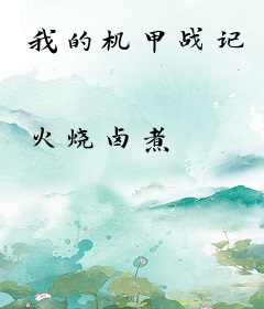 我的机甲战记