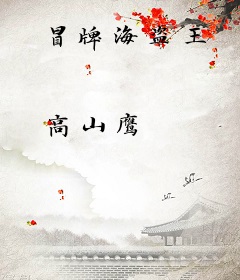冒牌海盗王